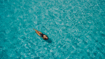 Floating Paradise