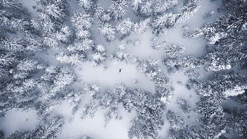 Lost in Winter Wonderland Lost in Winter Wonderland