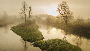 Foggy morning