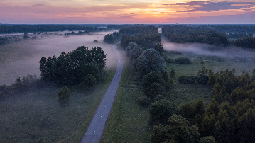 foggy evening
