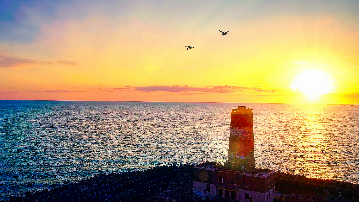 Mavic Mini - seagull at sunset light Mavic Mini - seagull at sunset light