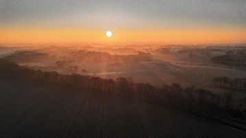 Misty morning