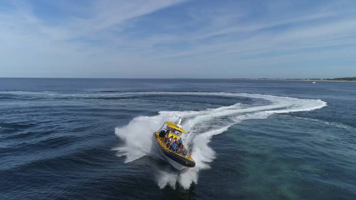 Fastest Whale Watch Boat in New England! | AirVuz