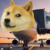 doge-plane